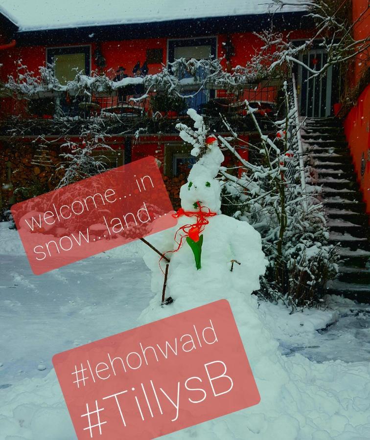 Tilly'S B&B And Apartment House Le Hohwald Buitenkant foto