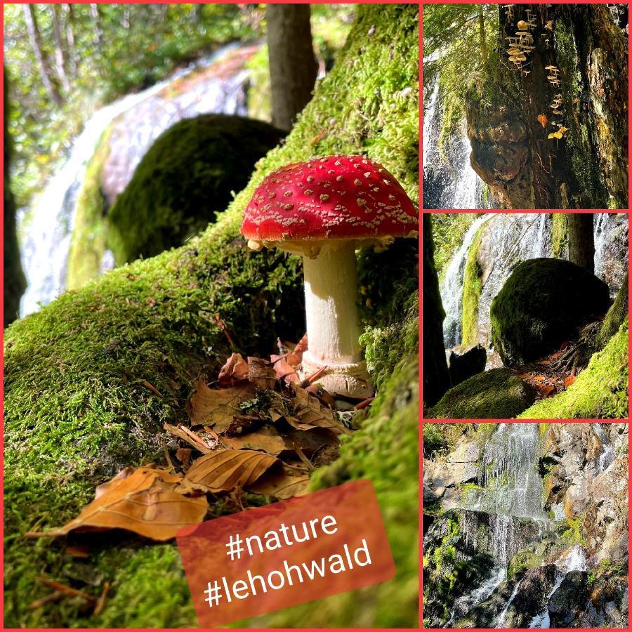 Tilly'S B&B And Apartment House Le Hohwald Buitenkant foto