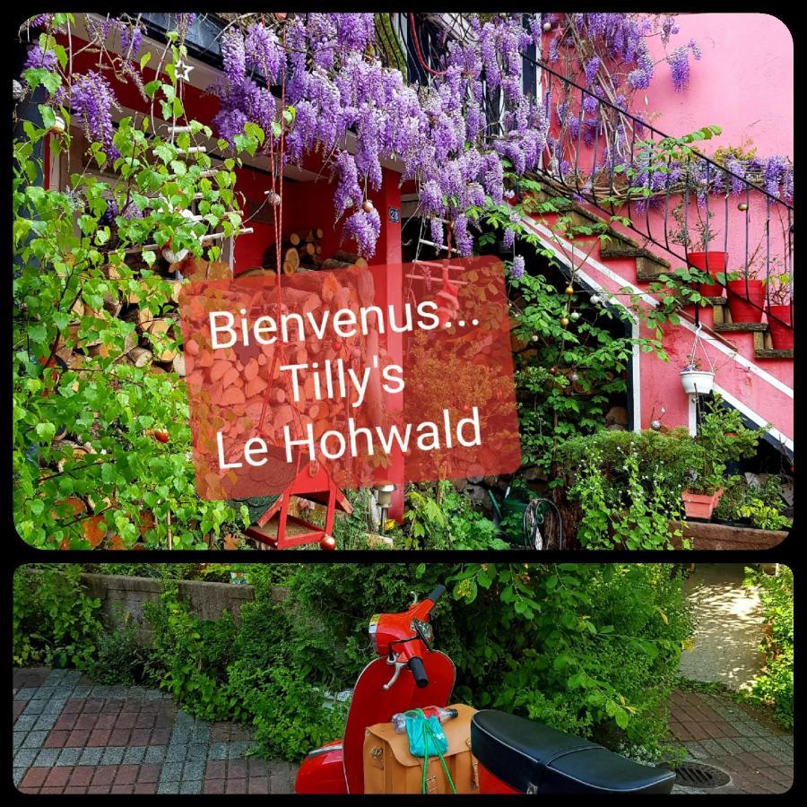 Tilly'S B&B And Apartment House Le Hohwald Buitenkant foto