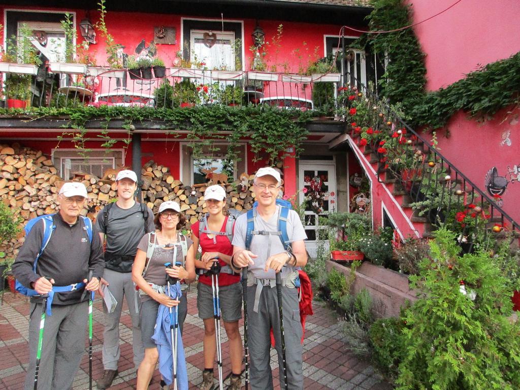 Tilly'S B&B And Apartment House Le Hohwald Buitenkant foto