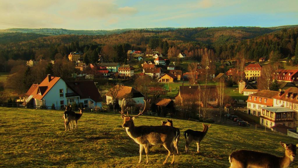 Tilly'S B&B And Apartment House Le Hohwald Buitenkant foto