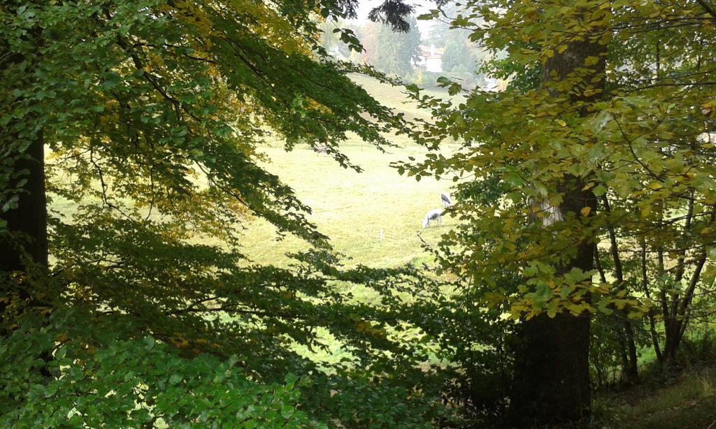 Tilly'S B&B And Apartment House Le Hohwald Buitenkant foto
